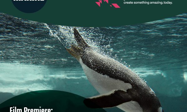 IMarEST and ITN launch Ocean Aware film